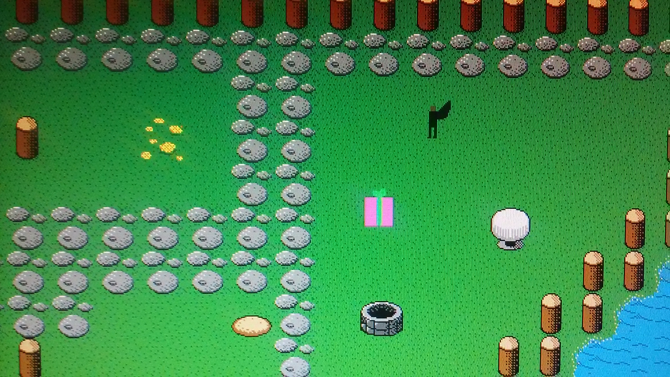 4139804_143309874213_135443.jpg