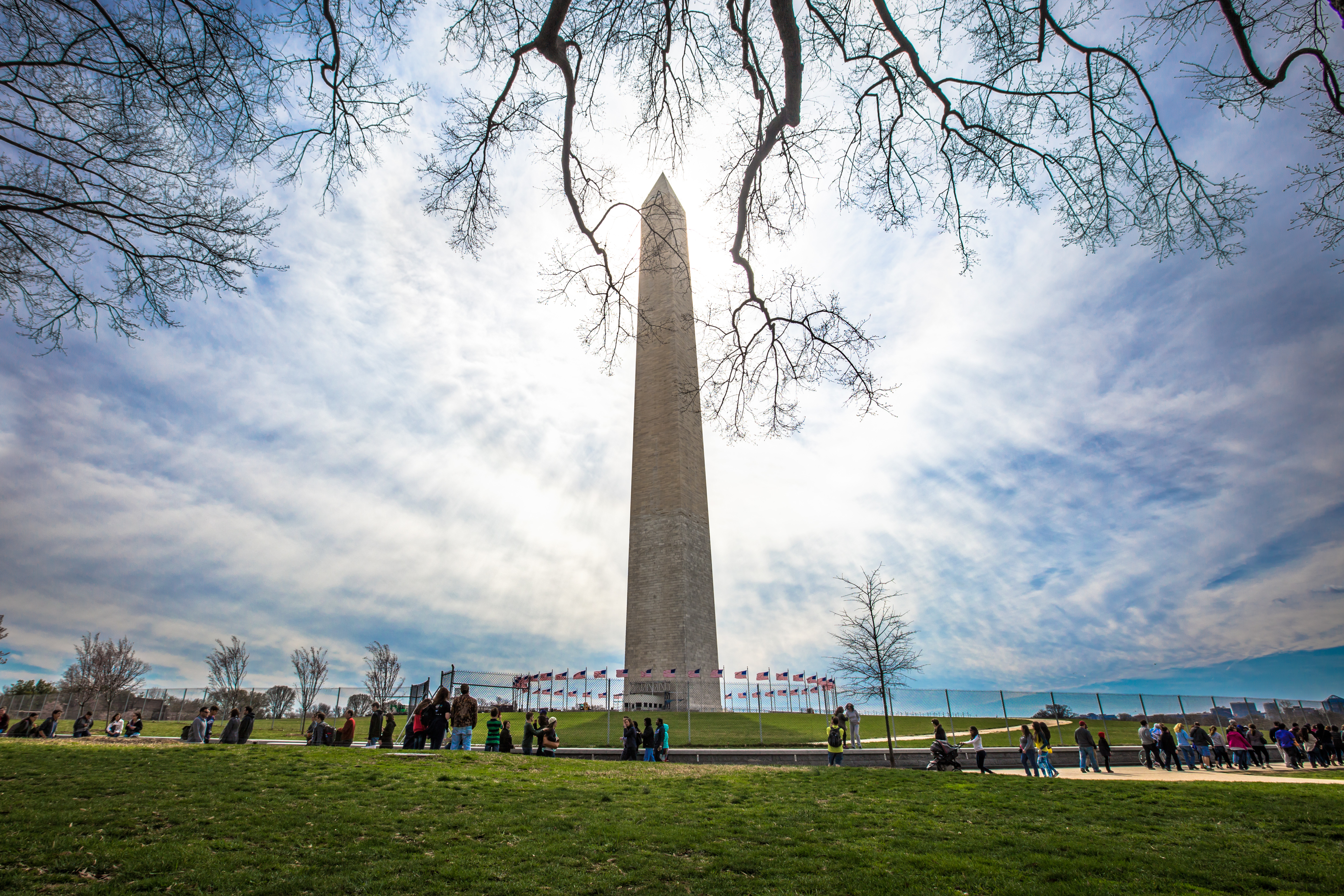 5009006_143355520561_Scaffolding-Off-Washington-Monument-with-Trees.jpg