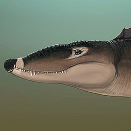 Secodontosaurus