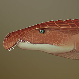 Archosaurus