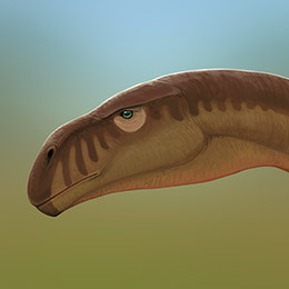 Plateosaurus