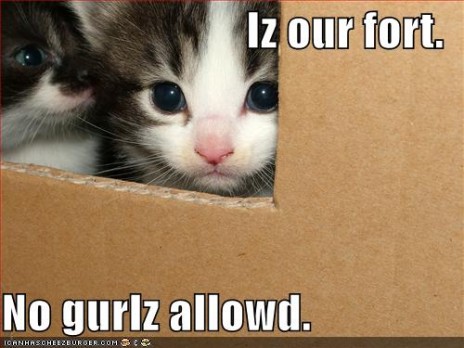 LOLCATS #2