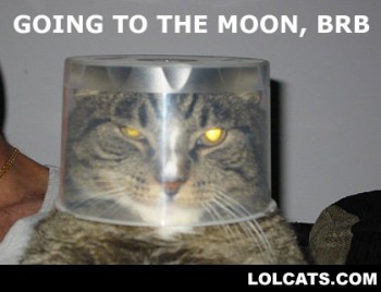 LOLCATS #3