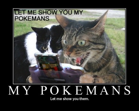 Let me show you my pokeman's