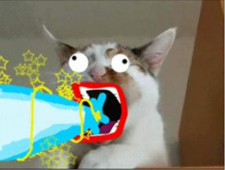 LOLCATS#4