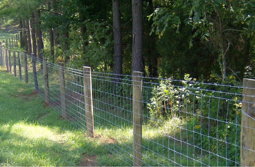 4665218_146846071392_Farm-Fence-II.jpg