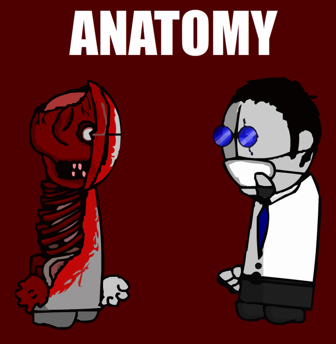 4944376_147177213391_TheAnatomy.png