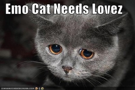 Emo kitteh needs teh loves too