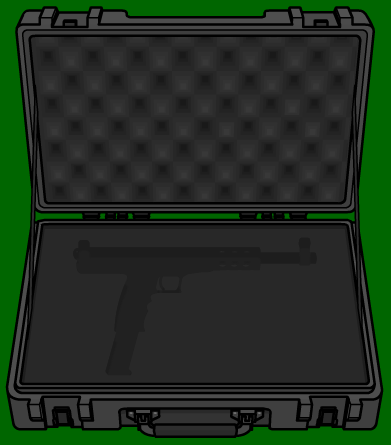 4225158_150671768362_Weaponcase.png